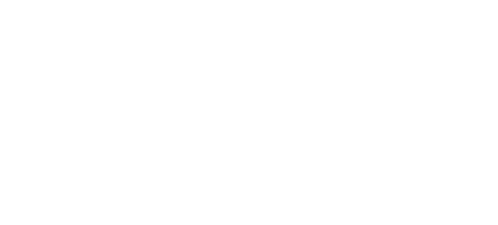 Wealth Attorneys