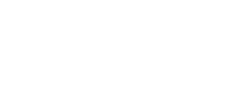 Wealth Attorneys